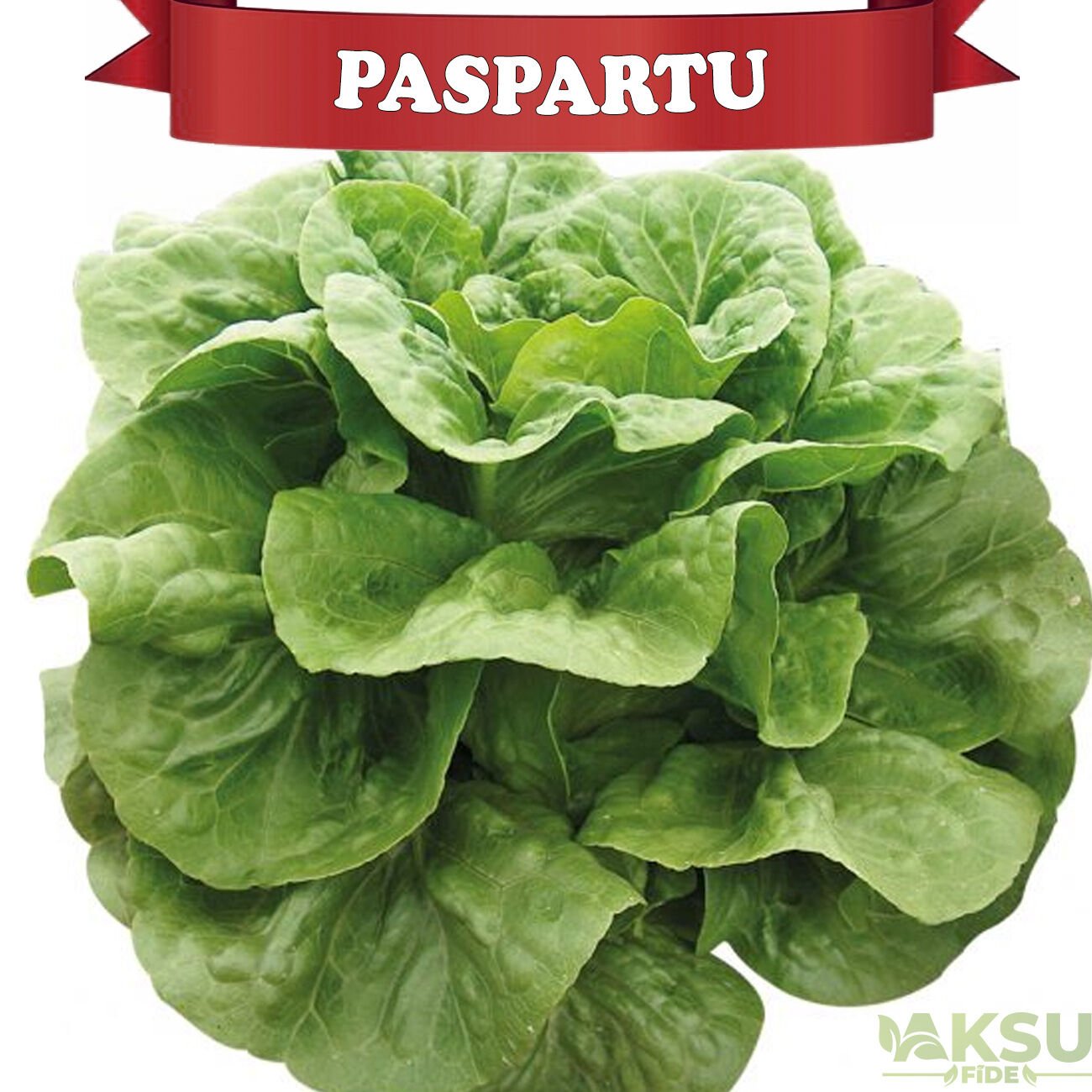 Paspartu Yedikule Marul Fidesi