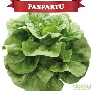 Paspartu Yedikule Marul Fidesi